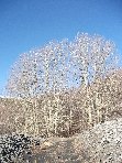 Rifugio_Paterno - 20100221 004.jpg